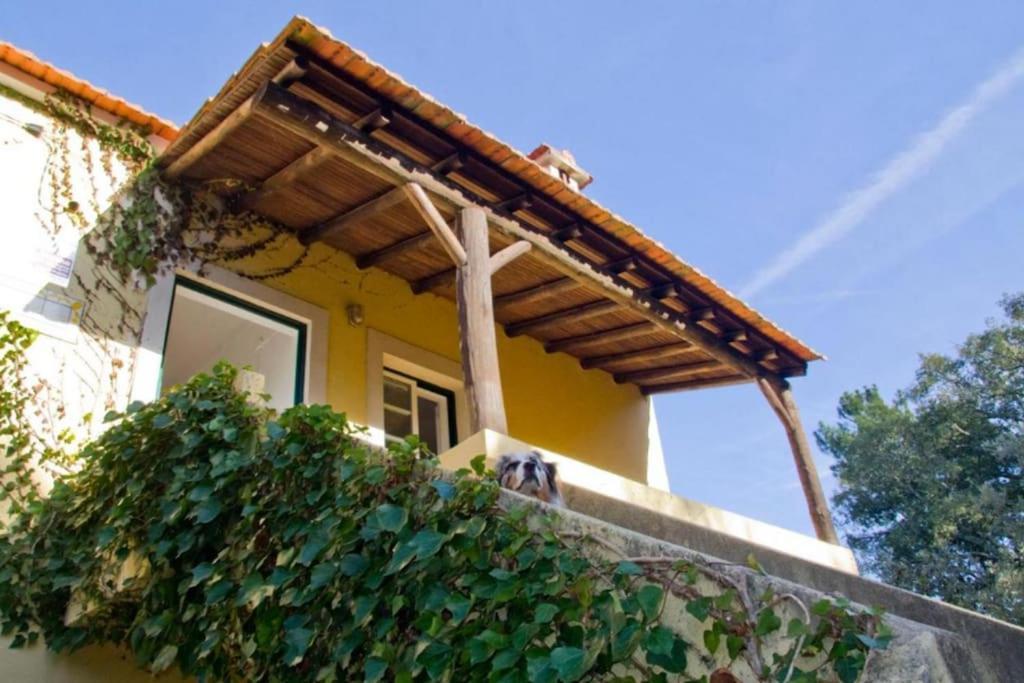 Casa Da Ruiva Villa Serra Eksteriør bilde