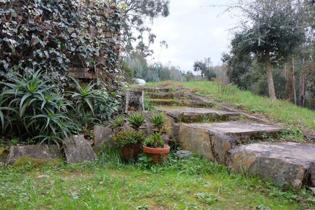 Casa Da Ruiva Villa Serra Eksteriør bilde
